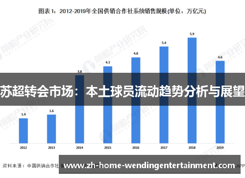 苏超转会市场：本土球员流动趋势分析与展望